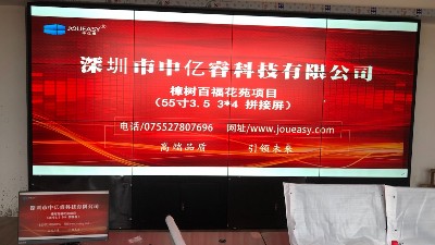 12塊55寸拼接屏助力江西樟樹(shù)百?；ㄔ沸^(qū)安全防范